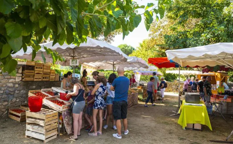 Étal de marché en Ardèche