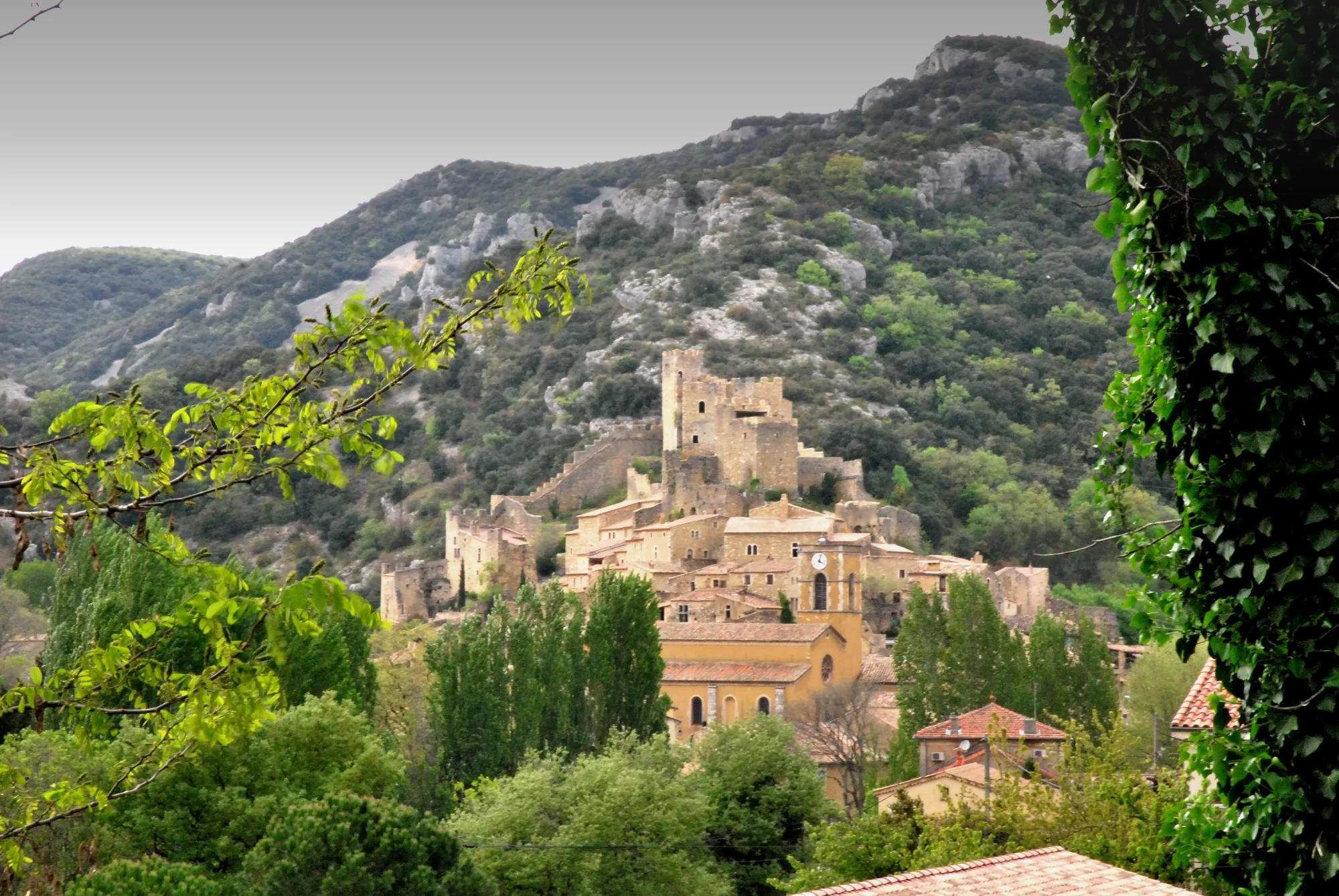 Paysage de lavande en Ardèche